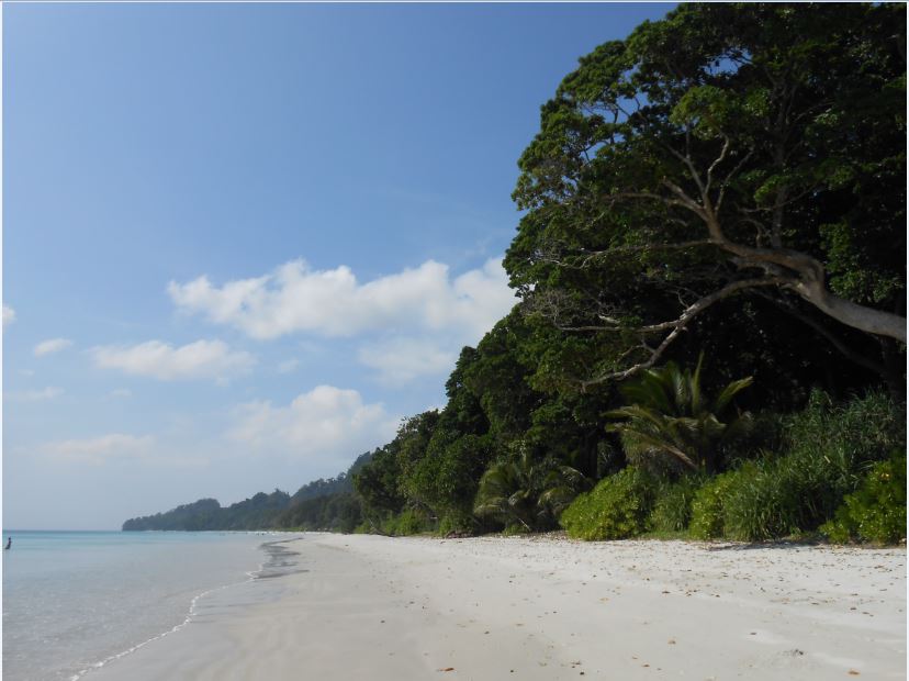 Andaman Honeymoon Package
