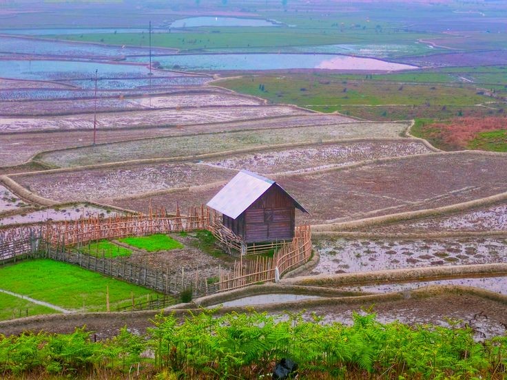 Arunachal Nature & Culture Tour