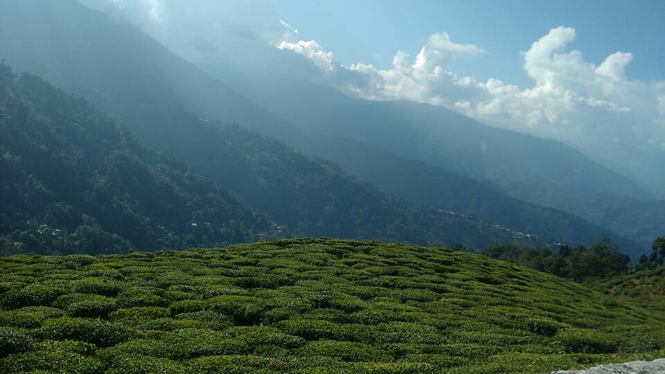 Darjeeling Honeymoon Tour