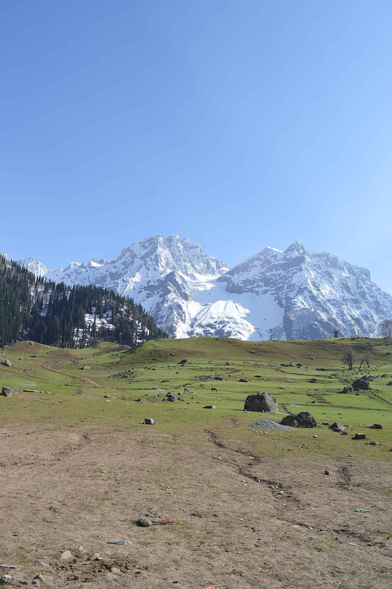 Kashmir with Gulmarg & Pahalgam