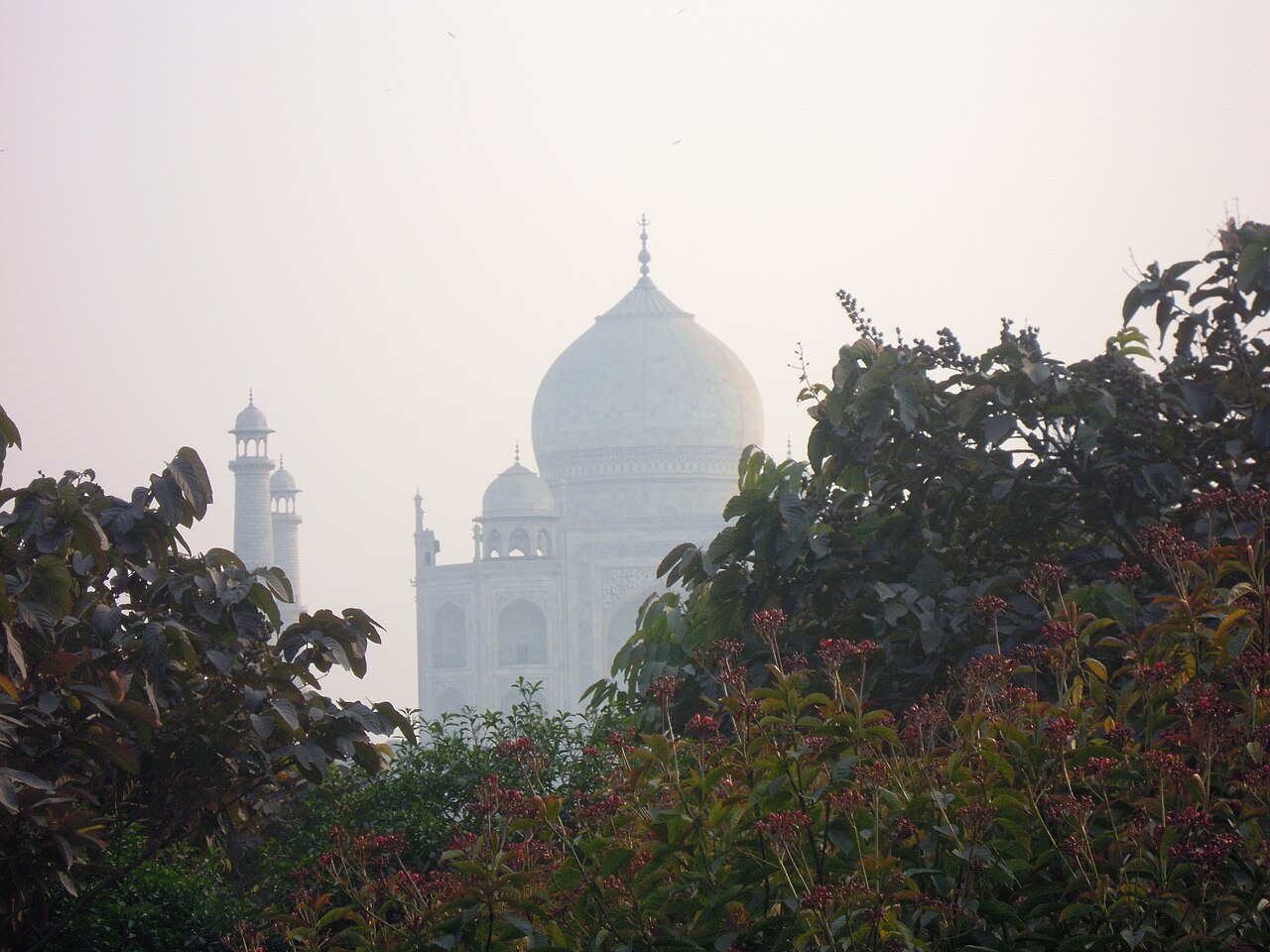 Taj Mahal Sunrise Tour from Delhi