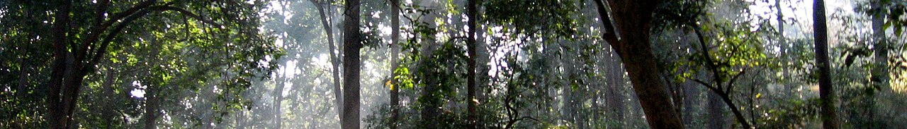 Jim Corbett
