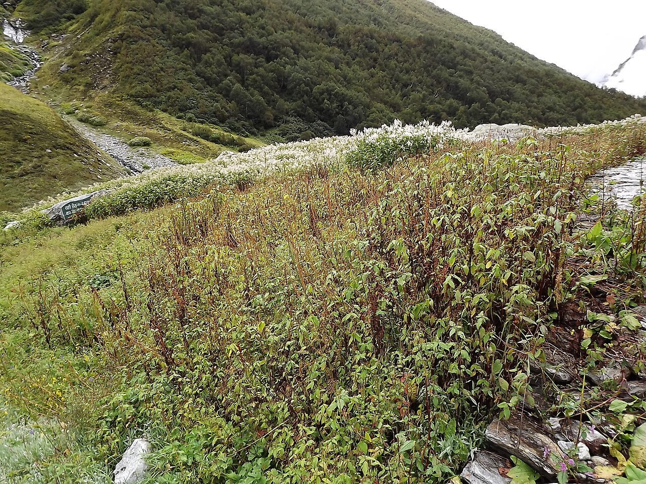 Uttarakhand